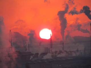 e0046477_8563536.jpg