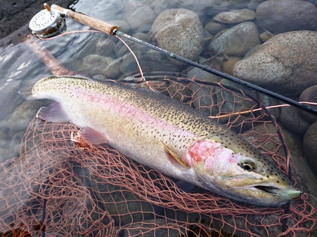 c0157482_09204352.jpg
