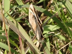 d0240983_92737.jpg