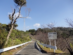 d0240983_9352426.jpg