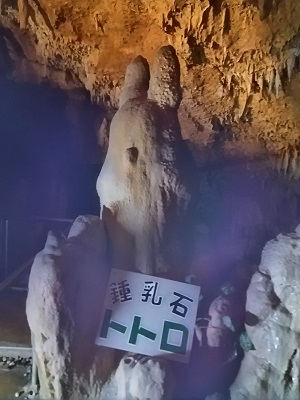 d0081485_11303049.jpg
