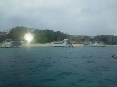 d0081485_13564030.jpg