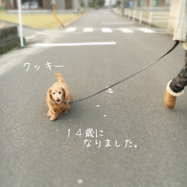 e0346387_06251266.jpeg