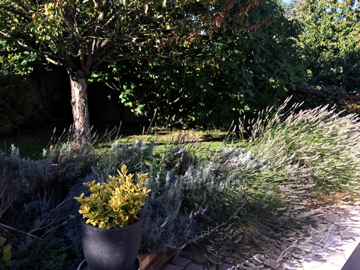 a0202890_16375898.jpg