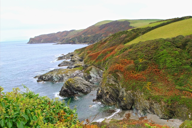 Cornwall - Wild horse_d0162693_23173855.jpg