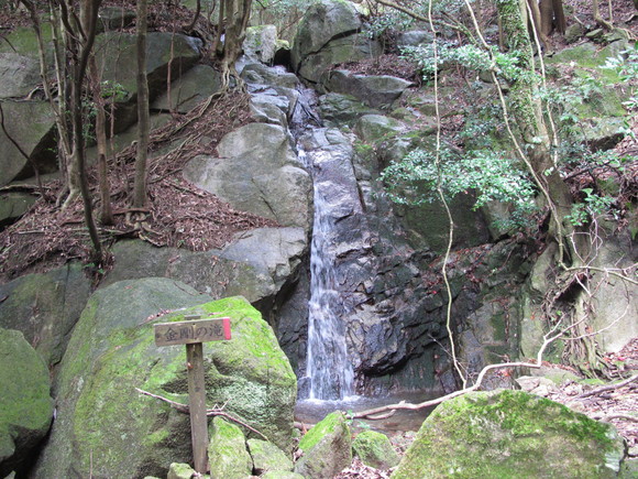 a0166196_17315533.jpg