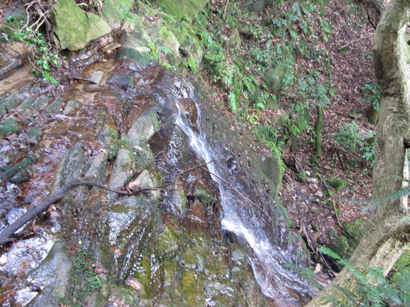 a0166196_17324715.jpg