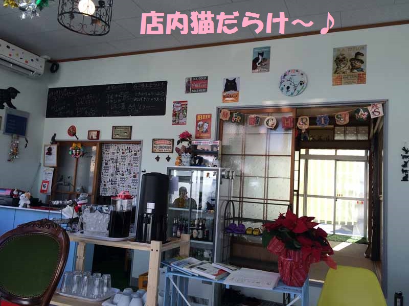 a0113003_1552489.jpg