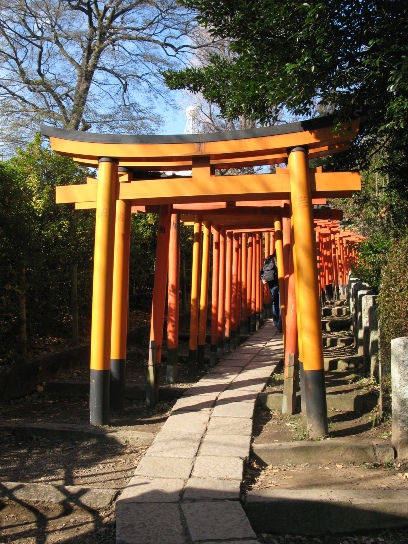 「根津神社」と「山種美術館」♪_e0106712_1748461.jpg