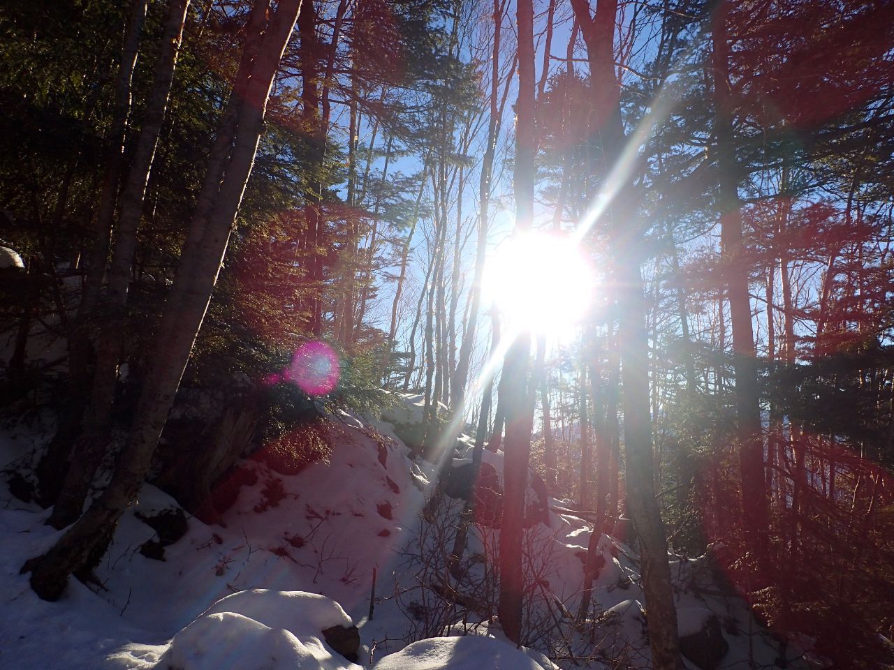 蓼科山〜2015年登り納め！_a0165316_15481043.jpg