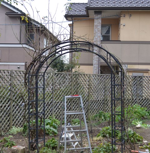 d0096422_17181818.jpg