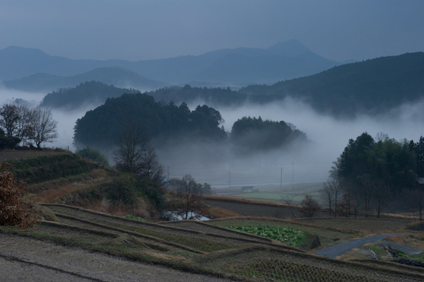 12月の「編集部おすすめ記事」(写真編)_f0357923_16244689.jpg