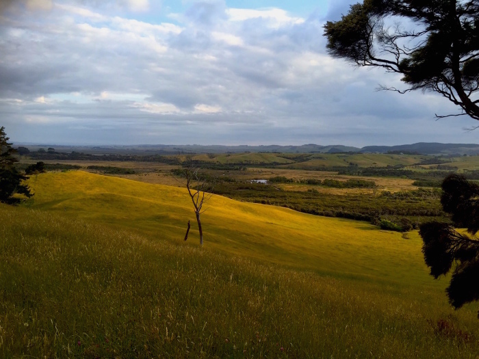 e0310424_10365095.jpg
