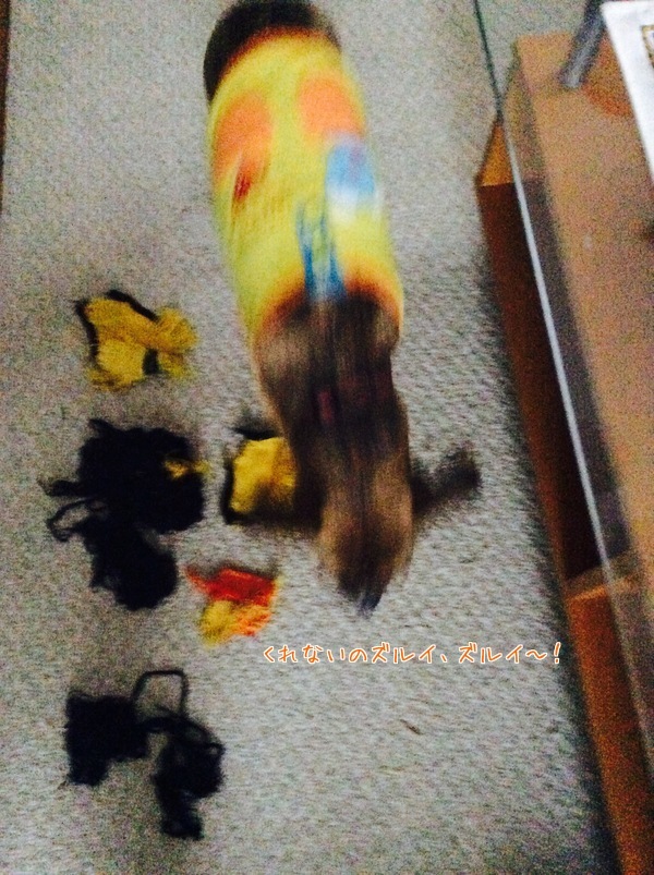 d0269832_08501176.jpeg