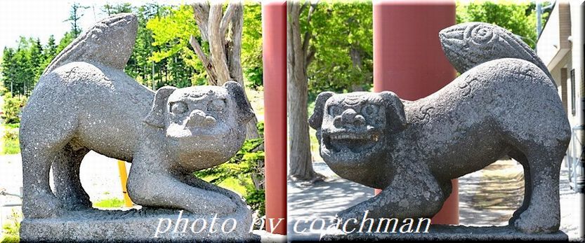「京極八幡神社」狛犬（京極町）_a0315942_22410794.jpg