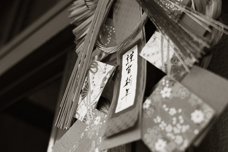 今年の帰省。_d0227246_14145313.jpg