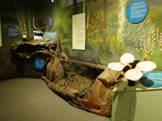 e0138350_20200883.jpg
