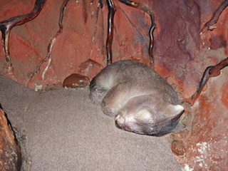 e0138350_20201950.jpg