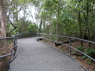 e0138350_20211638.jpg
