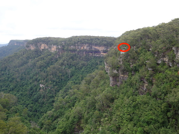 e0138350_20211646.jpg