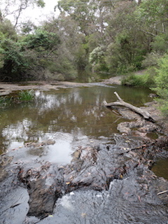 e0138350_20215661.jpg