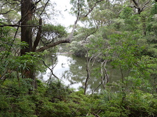 e0138350_20215681.jpg