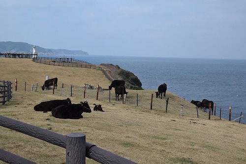 f0343750_923218.jpg