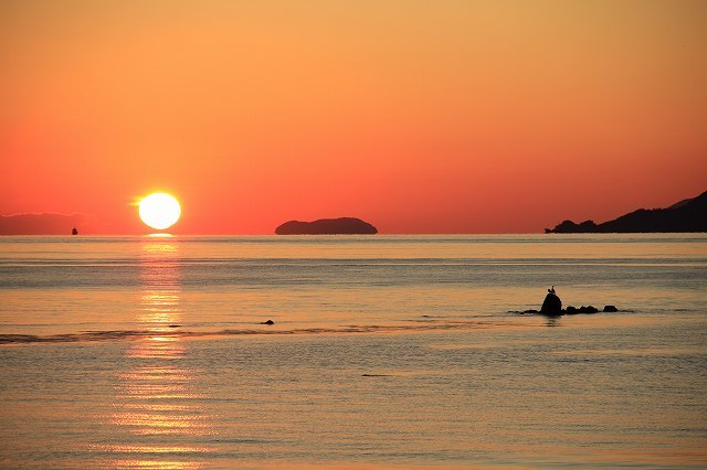 １２月３０日　夫のカメラより_f0340155_16131747.jpg