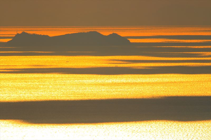 e0305156_8541215.jpg