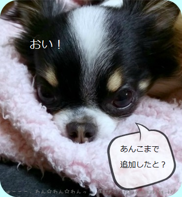 b0112758_025416.png