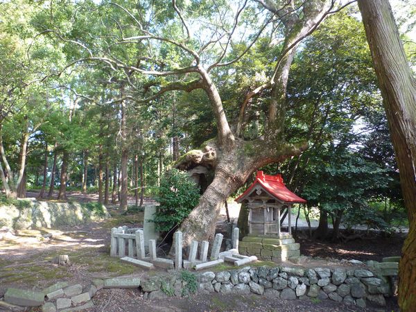 脇巫女 ２９ 鷹の口おだ山 と聖なる幾何学模様 ひもろぎ逍遥