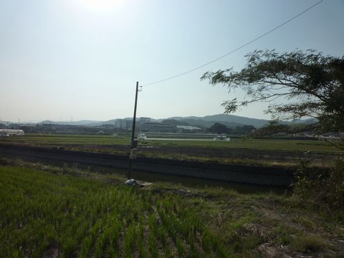 脇巫女 ２９ 鷹の口おだ山 と聖なる幾何学模様 ひもろぎ逍遥