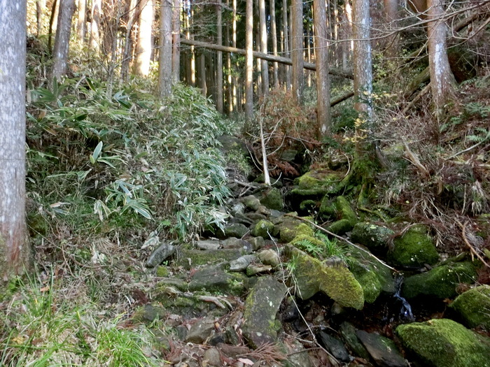 b0185573_1062253.jpg