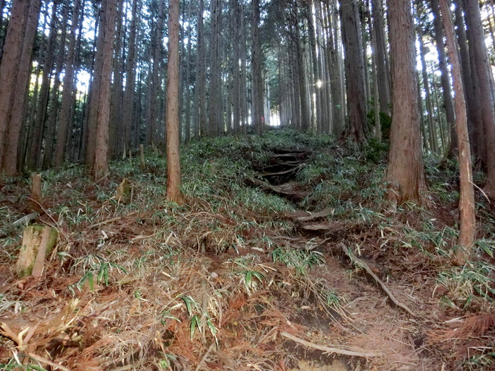 b0185573_1065199.jpg