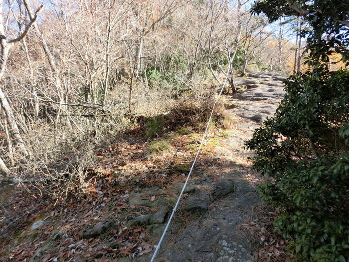 b0185573_1094990.jpg