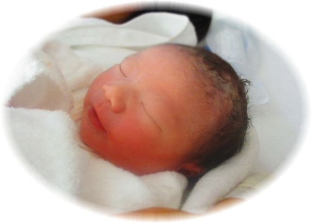 誕生・・・♪♪♪_d0175974_673874.jpg