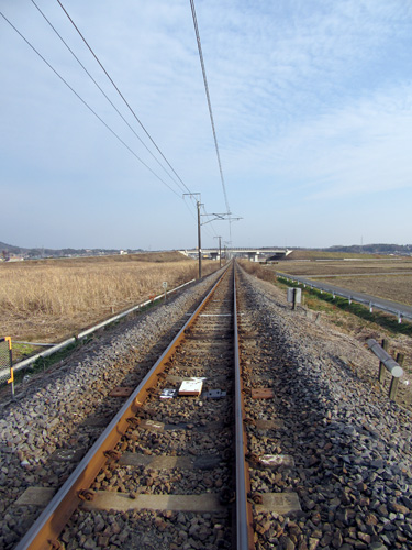 d0085887_4491624.jpg
