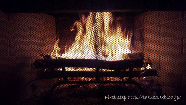 b0148991_0423335.gif