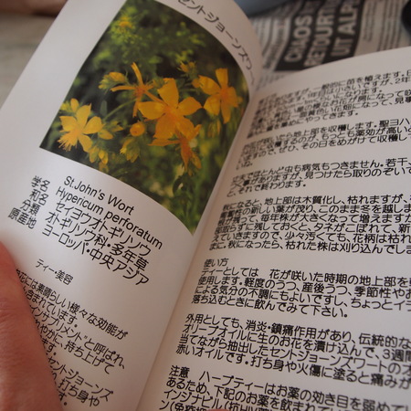ハーブ辞典の訂正_a0292194_15154776.jpg