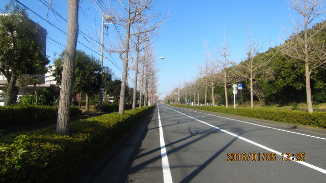 c0133096_15142413.jpg
