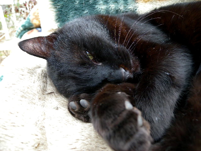 a0199297_23364868.jpg