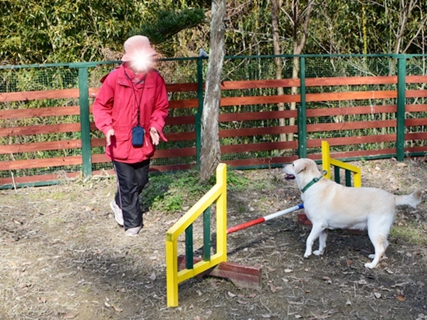 新春ワン軍団♪♪ ～～初春～～_f0176499_09513819.jpg