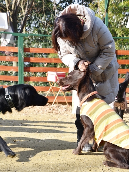 新春ワン軍団♪♪ ～～初春～～_f0176499_09525631.jpg