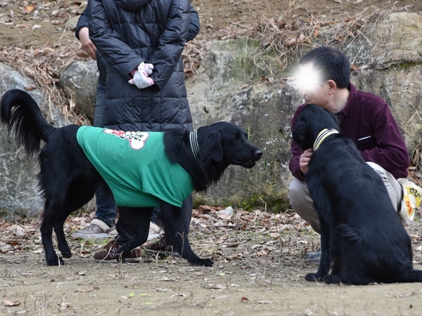 新春ワン軍団♪♪ ～～初春～～_f0176499_09554473.jpg