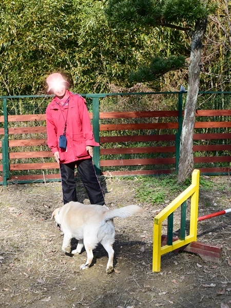 新春ワン軍団♪♪ ～～初春～～_f0176499_10024153.jpg