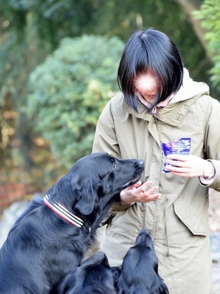 新春ワン軍団♪♪ ～～初春～～_f0176499_10244108.jpg