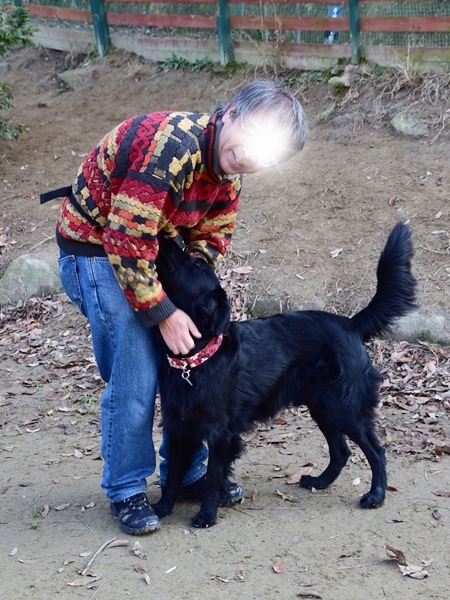 新春ワン軍団♪♪ ～～初春～～_f0176499_11534824.jpg