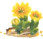 新春ワン軍団♪♪ ～～初春～～_f0176499_12132927.jpg