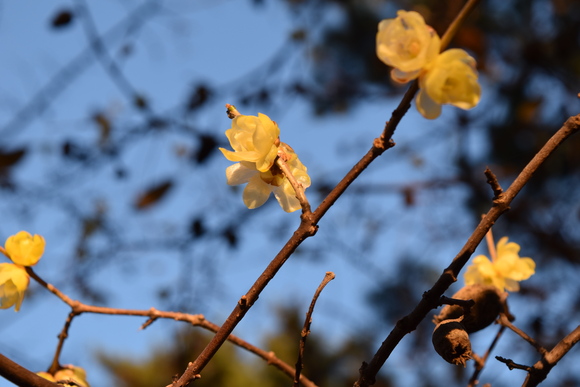 a0288500_1823489.jpg