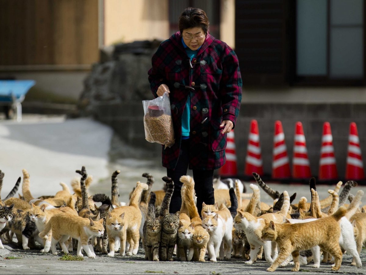 からくれない動物　９６_c0072801_5155556.jpg